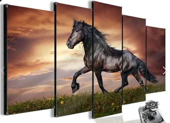 Contrôleur visuel multi With Artistic Freedom de mur de l'angle 20W HDMI